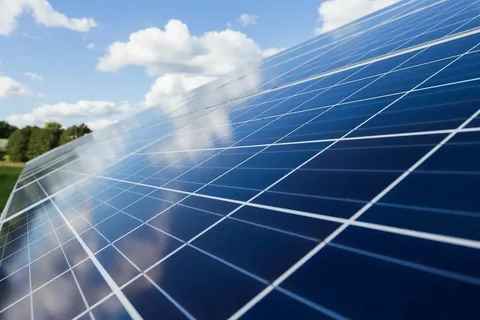 Flexible Solar Module